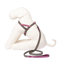 Thumbnail for Harnais Haut de Gamme Chien