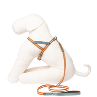 Thumbnail for Harnais Luxe pour Teckel