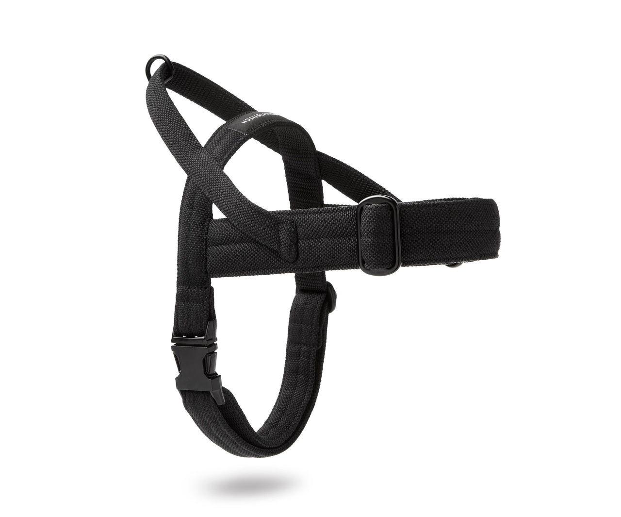 Harnais en Tissu pour Teckel Standard