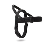 Thumbnail for Harnais en Tissu pour Teckel Standard