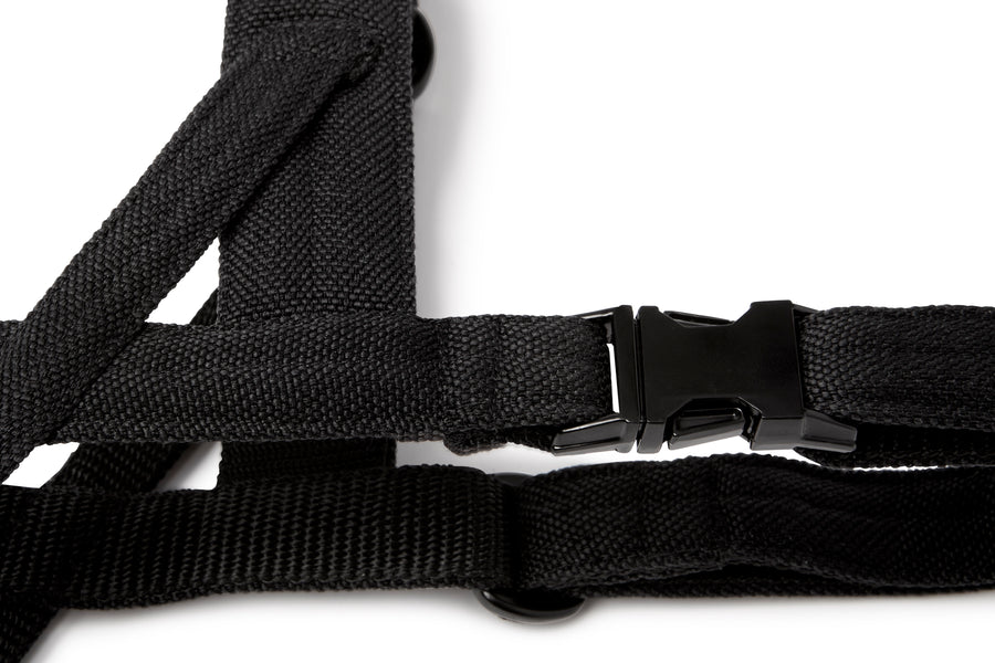 Harnais Tissu Teckel Nain