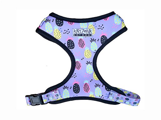 Harnais pour Teckel Adulte