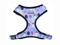 Thumbnail for Harnais pour Teckel Adulte