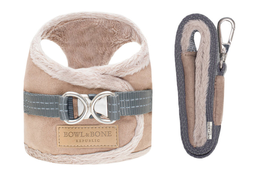 Parure Chaude pour Teckel 