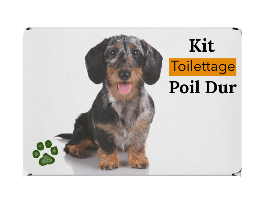 Pflegeset für Dackel mit rauem Fell