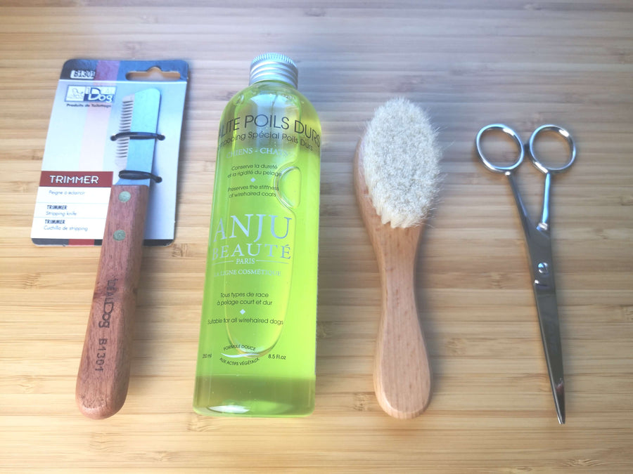 Produits Toilettage Teckel Poil Dur