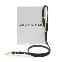 Thumbnail for Laisse Chien Haut de Gamme