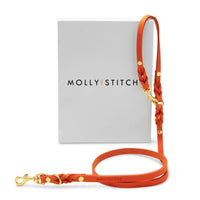 Thumbnail for Laisse de Ville Ajustable