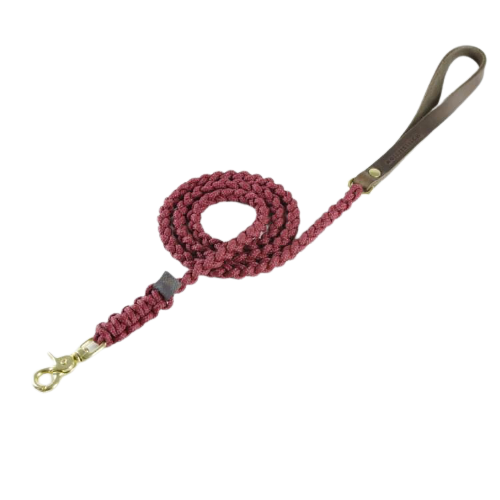 Solide Leine für kleine Hunde