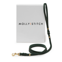 Thumbnail for Laisse Chien Luxe