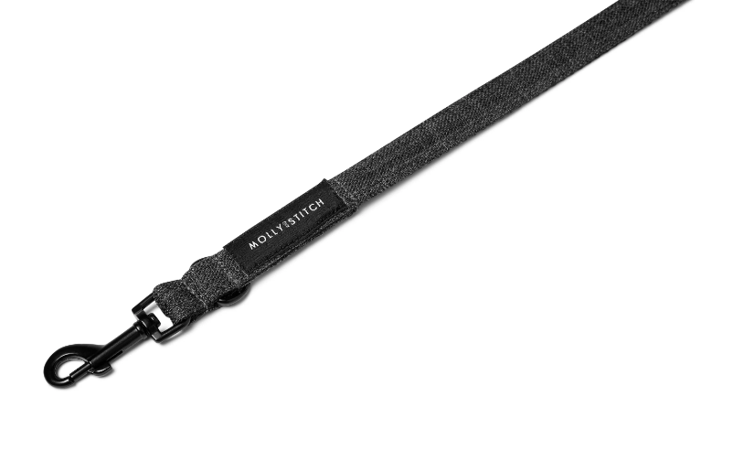 Laisse pour Teckel en Tissu