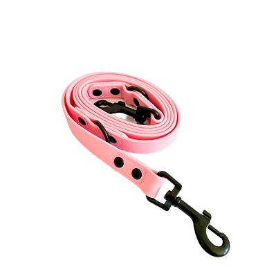 Laisse Teckel Rose