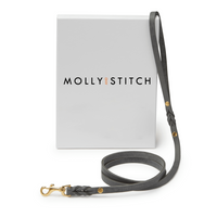 Thumbnail for Laisse Solide pour Chien