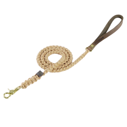 Schicke Leine für kleine Hunde