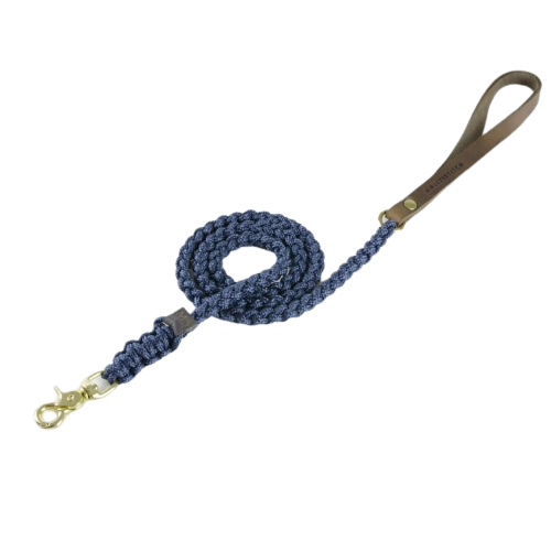 Leine Chien Bleu