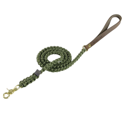 Unzerstörbare Hundeleine