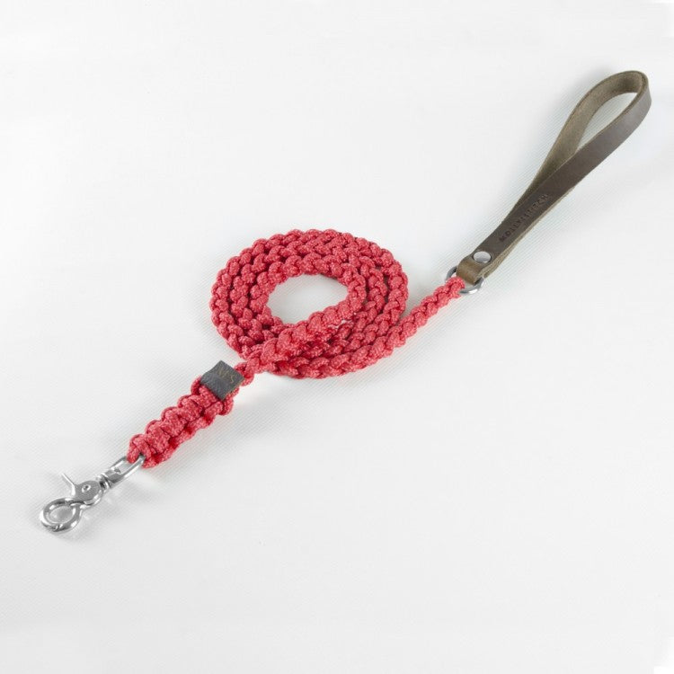 Schicke rote Leine