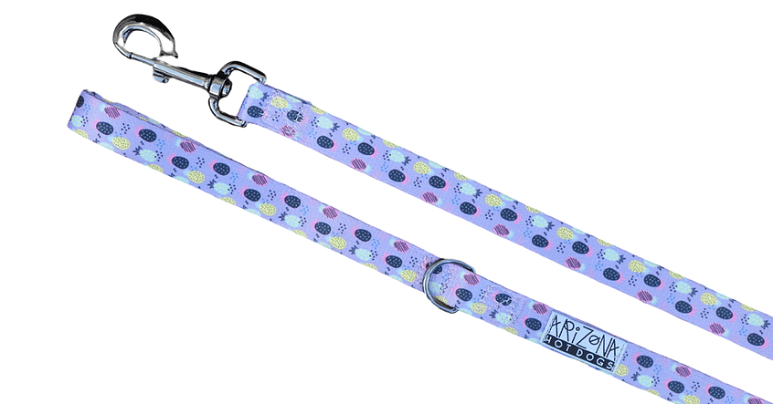 Laisse pour Chien Rigolote