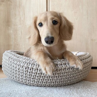 Thumbnail für Warenkorb für Dackel 