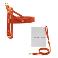 Thumbnail für Ledergeschirr und Leine für Dackel