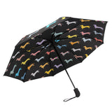 Parapluie Pliant Teckel