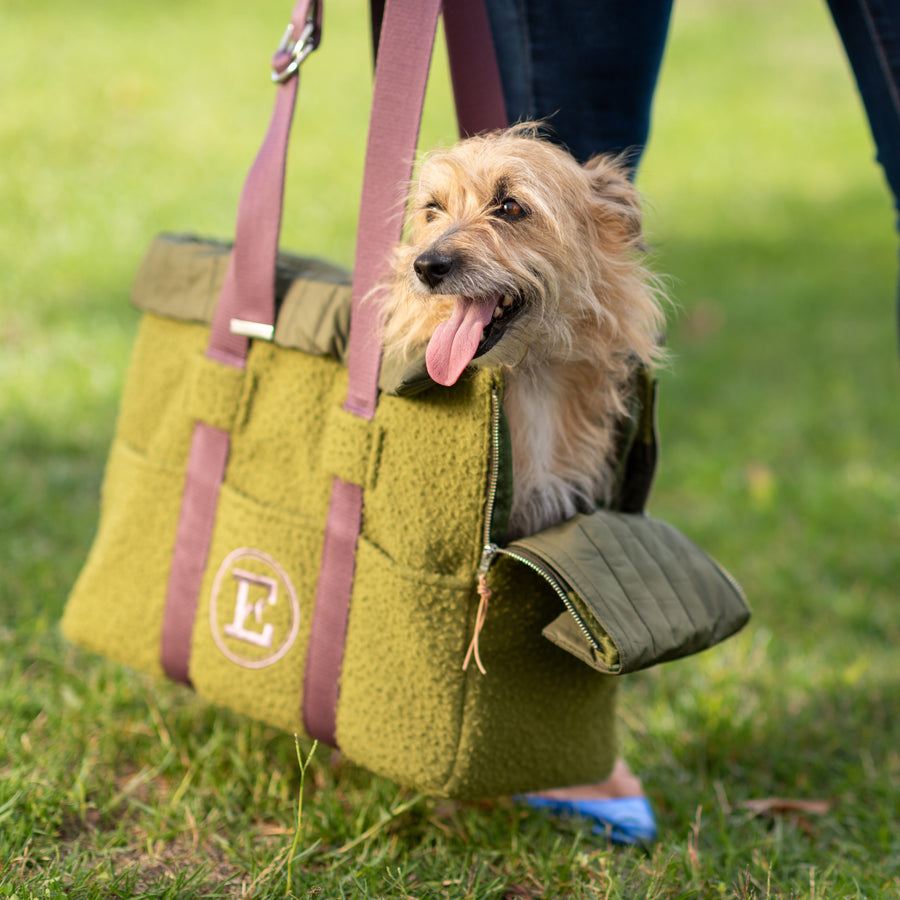 Chic Hundetasche