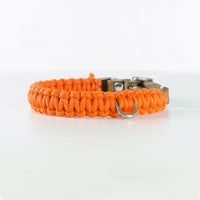 Thumbnail for Collier Chien Cuir et Corde