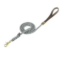 Thumbnail for Laisse Chien Design