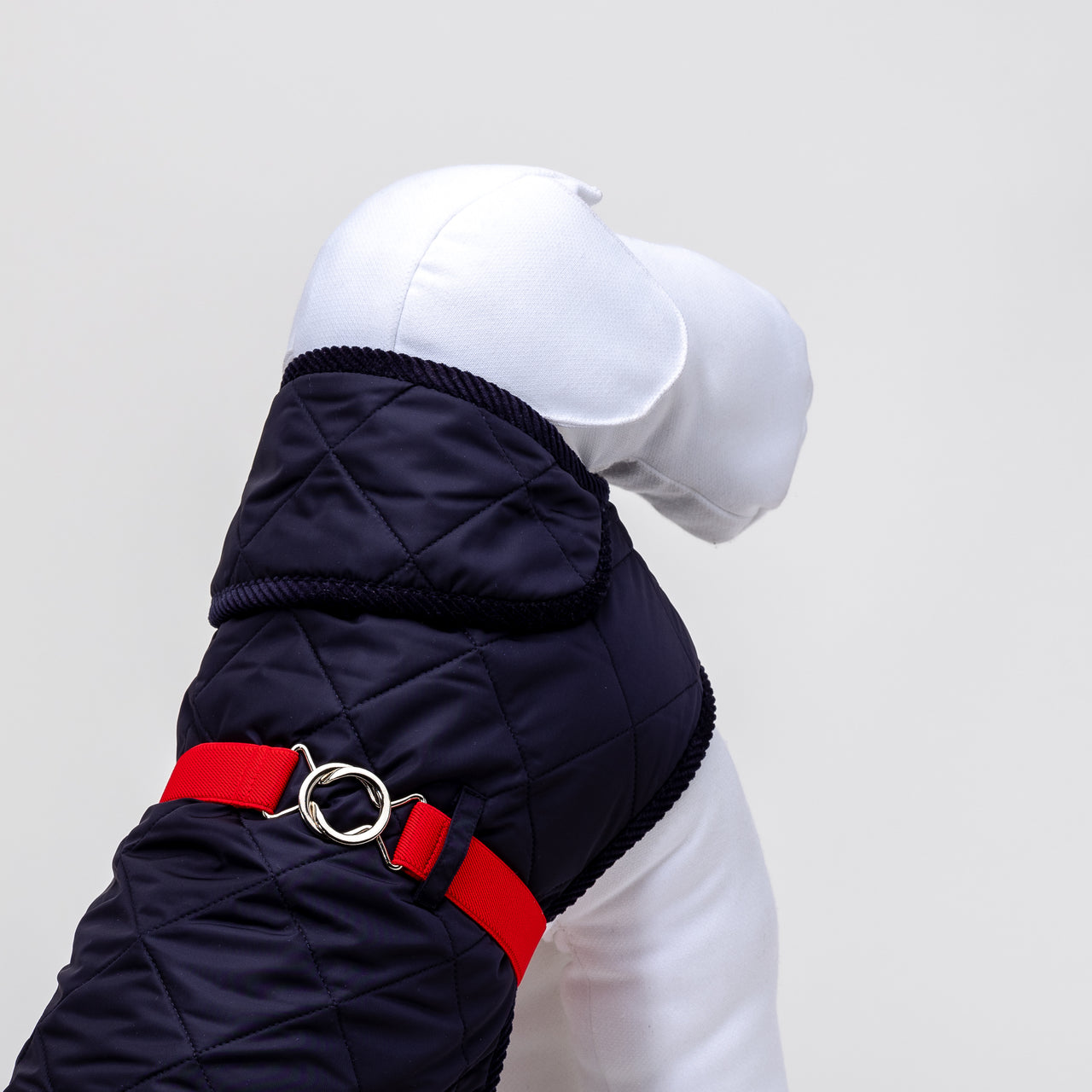 Veste Chaude Sur Mesure pour Teckel