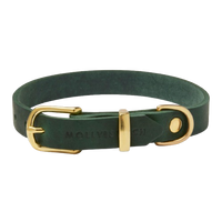 Miniaturansicht für Luxus-Hundehalsband aus grünem Leder
