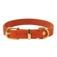 Thumbnail für hochwertige Hundehalsband aus Mangomleder