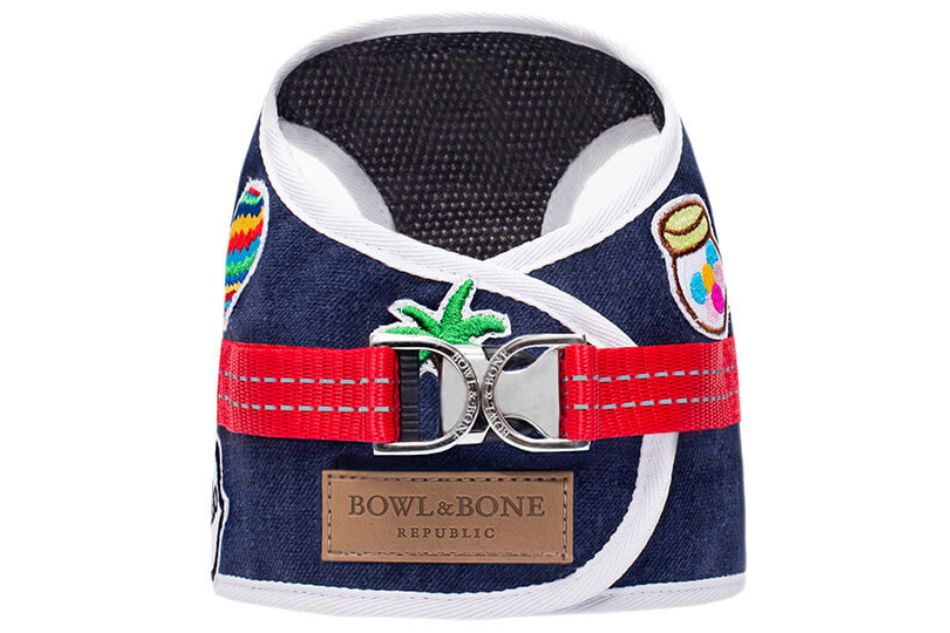 Blauer Geschirr für Zwergdackel