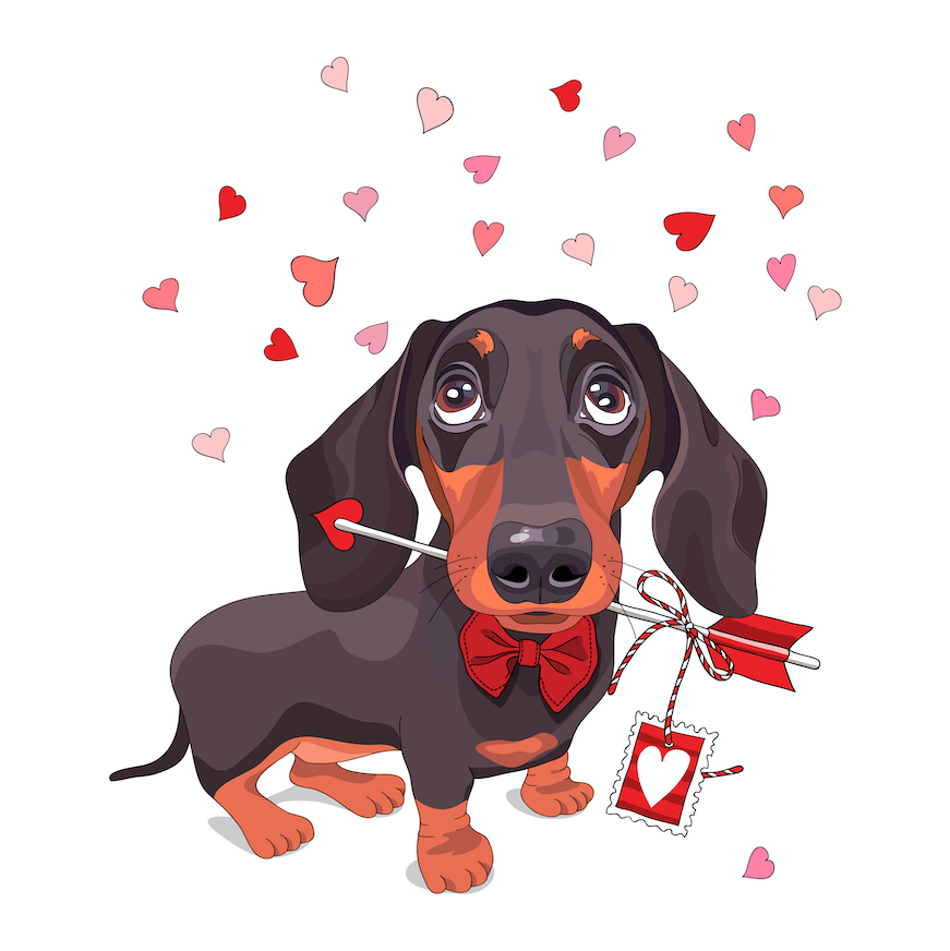 T-Shirt Dackel mit Herz