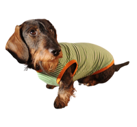 Miniaturbild für Body Teckel 