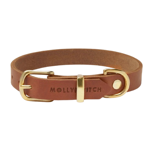 Halskette aus cognacfarbenem Leder mit Gold