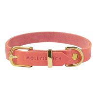 Thumbnail für Sellerie Teckel <br/> Lederhalsband Butter <br/> Korallenrosa