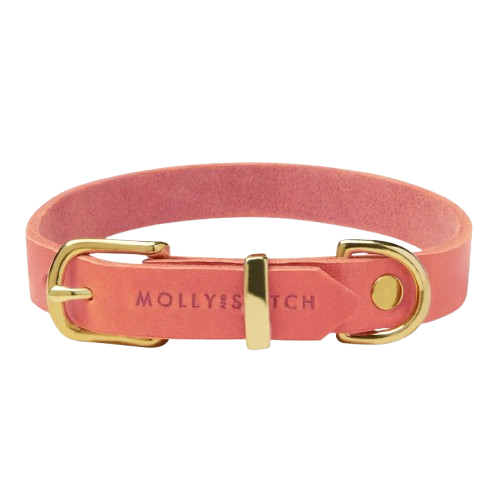Sellerie Teckel <br> Collier Cuir Butter <br> Corail Rose