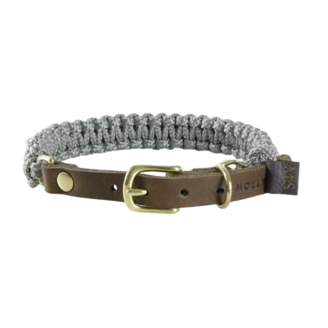 Modisches Hundehalsband aus grauem Leder und Seil