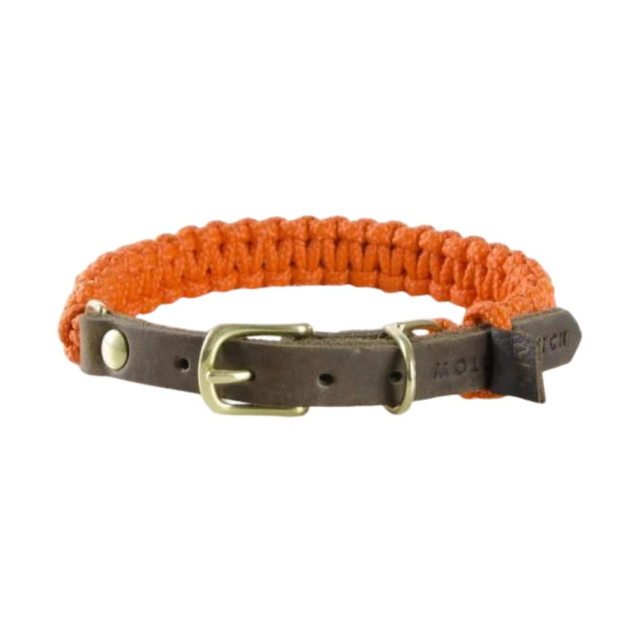 Hundehalsband aus orangefarbenem Seil und Leder