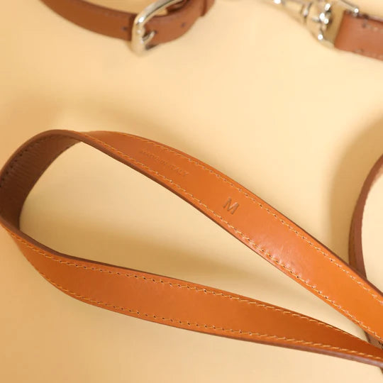 Lederhalsband für Dackel