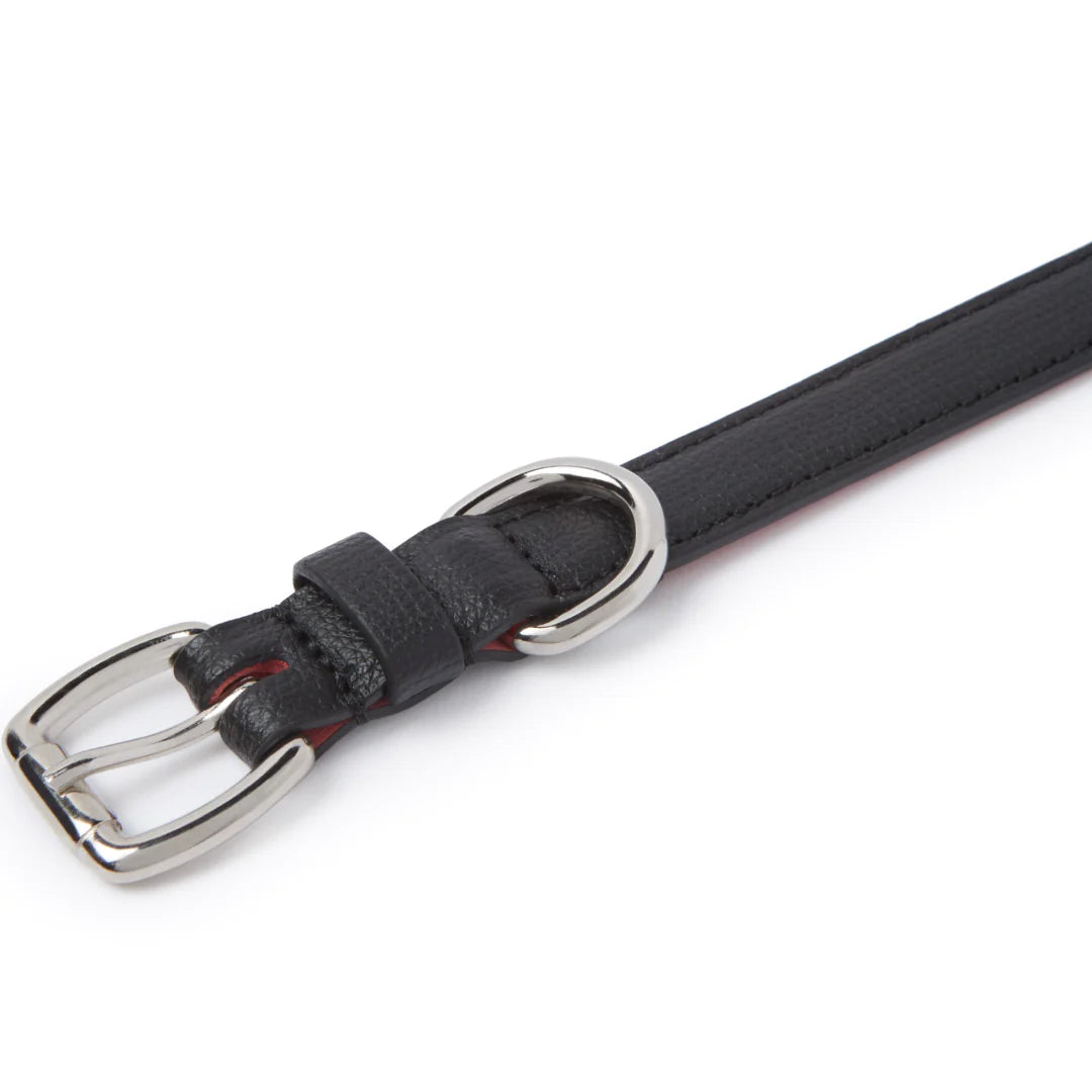 Luxus-Halsband aus Leder für Dackel