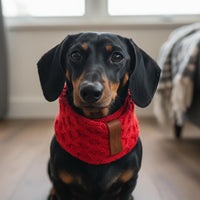 Thumbnail für Schal für Dackel