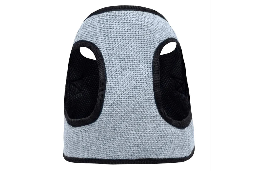 Geschirr Chic Blau Kleiner Hund