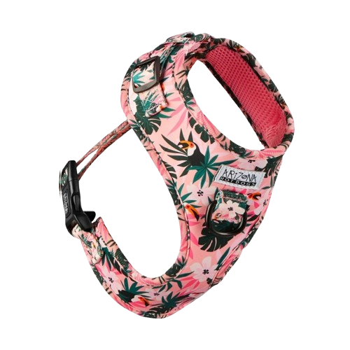 Hundegeschirr für Dackel