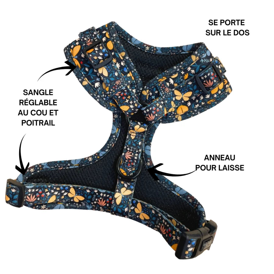 farbiges Geschirr für kleine Hunde