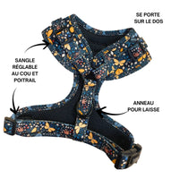 Miniaturbild für farbiges Geschirr für kleine Hunde