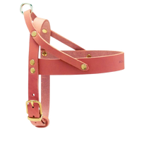 Thumbnail für Sellerie Teckel <br/> -Geschirr aus Leder Butter Rose