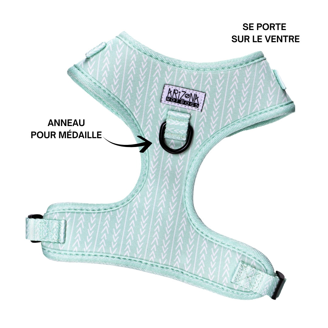 Grüner Dackel-Brustgeschirr
