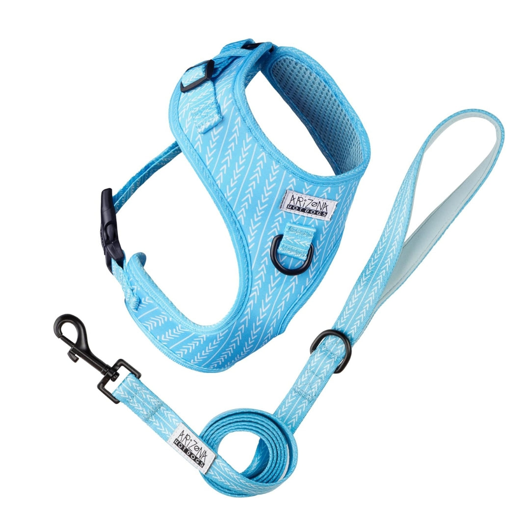 Sellerie Teckel <br> Harnais Bubble Gum Bleu