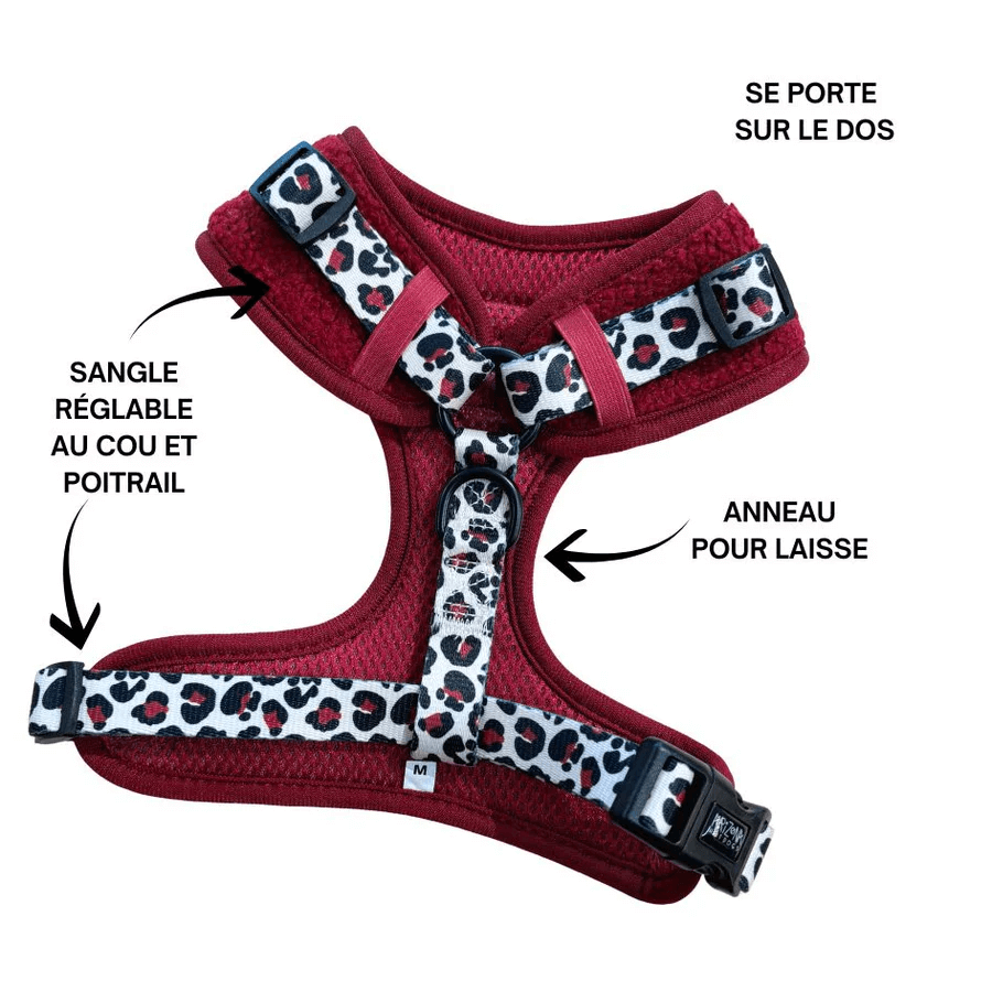 Geschirr für kleine Hunde in Bordeauxrot